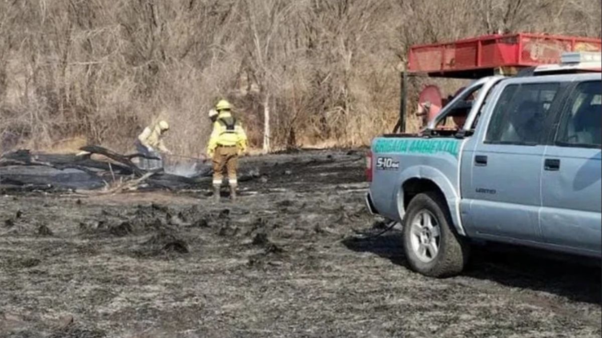 Foto: Bomberos de Córdoba Foto: Bomberos de Córdoba