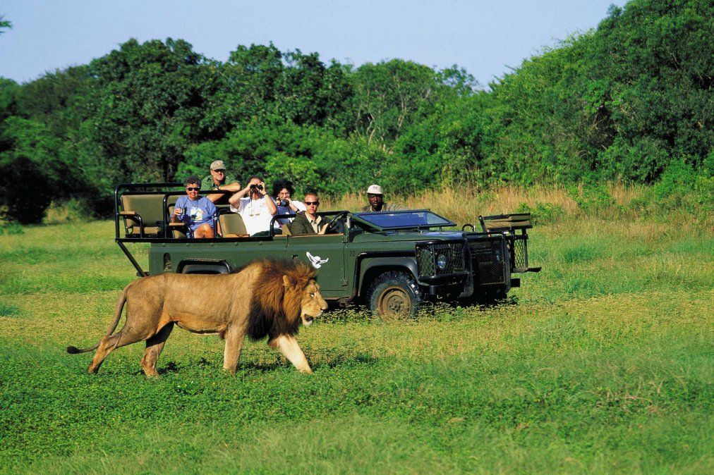 Cuando las apps generan caos: eso pasa en un parque de Sudáfrica