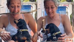 Una mujer se hizo viral en Tiktok por enseñarle un truco a su perro
