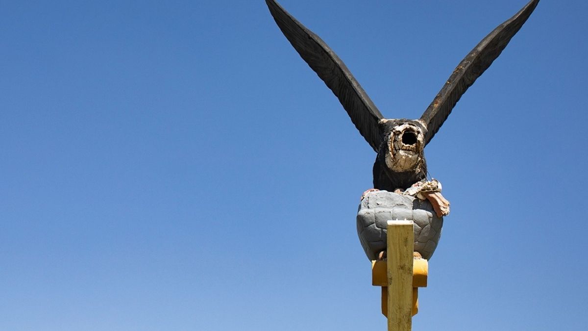 El Cóndor decapitado por la tormenta de granizo.
