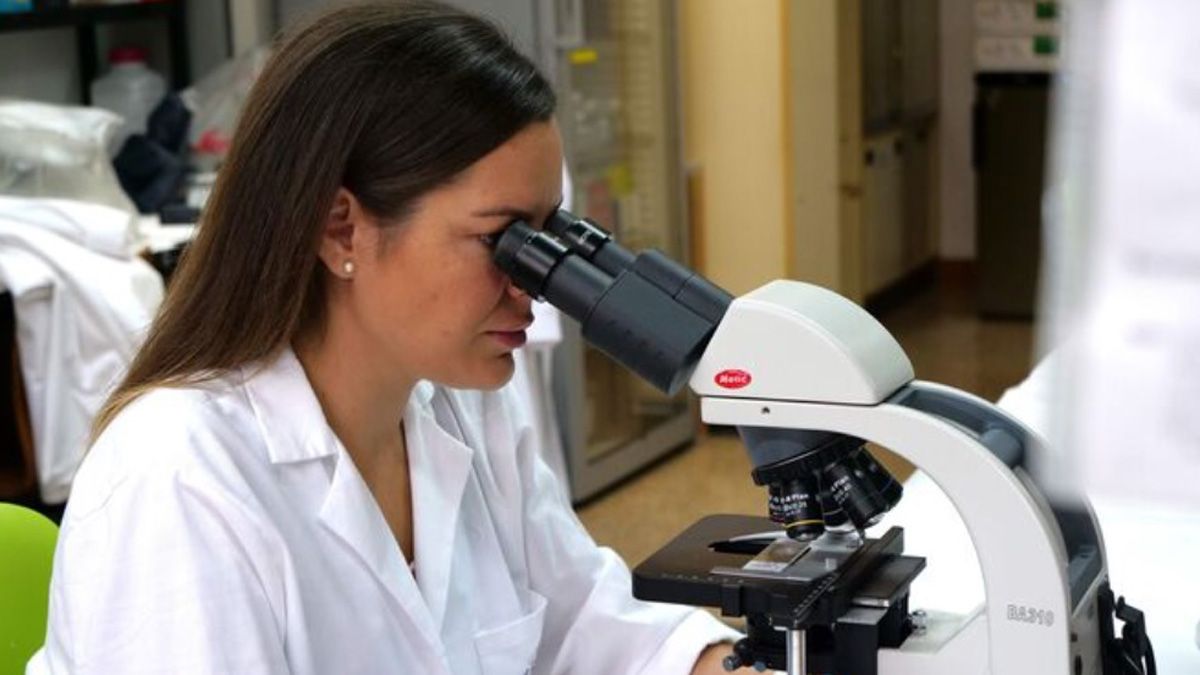 Inés Moreno, la investigadora de la Universidad de Málaga quien identificó una terapia no invasiva que podría frenar la enfermedad de Alzhéimer