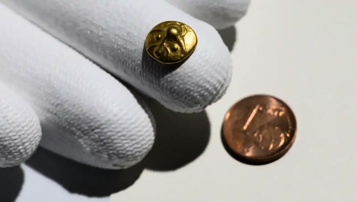 Descubrimiento de una moneda de oro en perfectas condiciones emociona a especialistas europeos