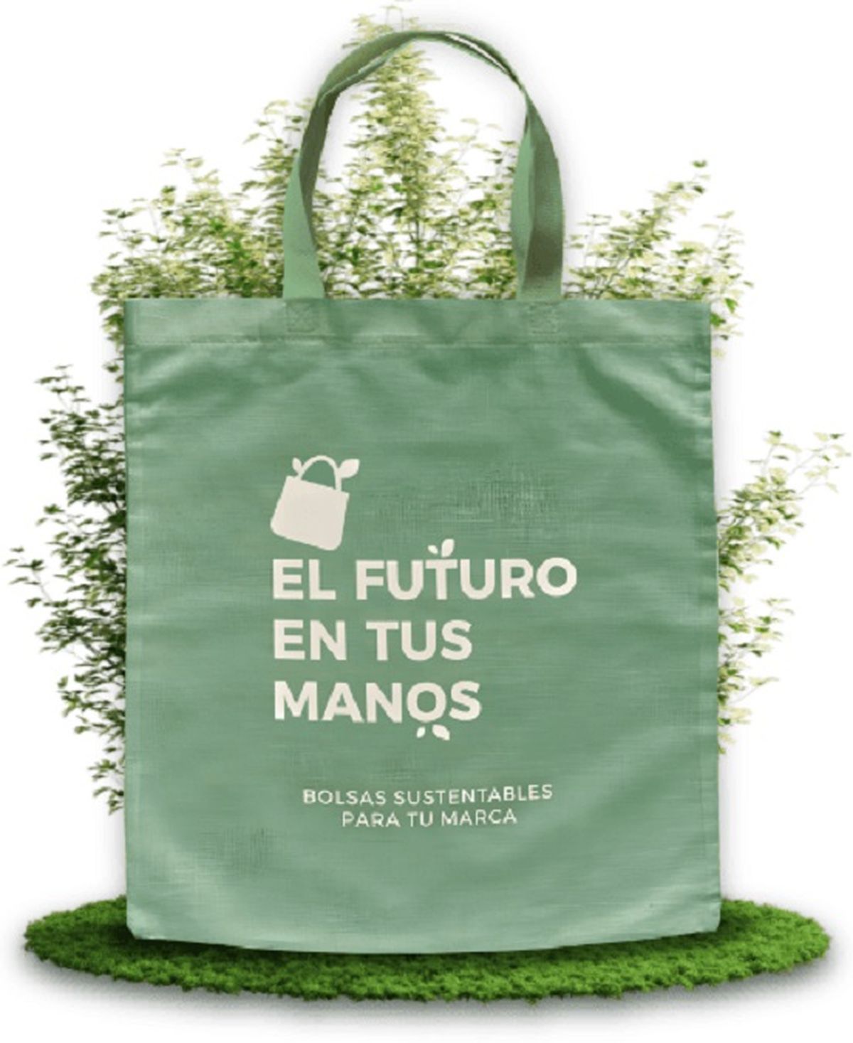 La friselina es una tela que se la puede encontrar en todo tipo de productos y combinaciones. La friselina es una tela que se la puede encontrar en todo tipo de productos y combinaciones.