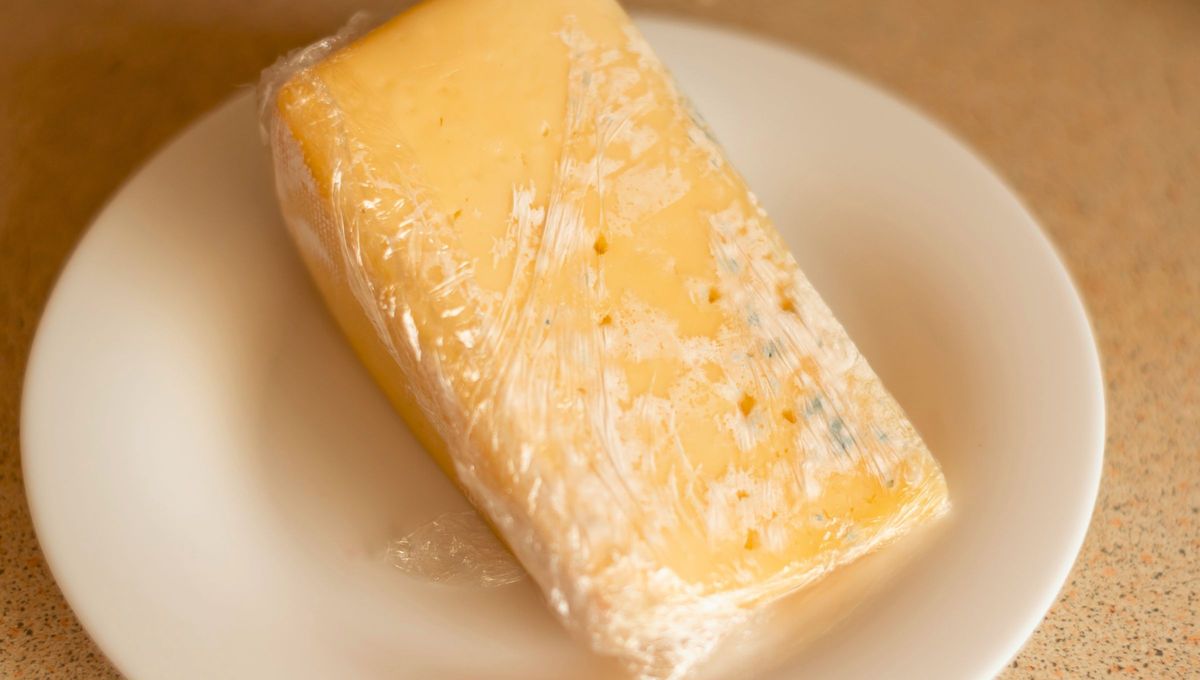  En pequeñas cantidades, los ácaros no representan un peligro significativo para la salud y, en algunos quesos específicos, incluso contribuyen a su desarrollo y sabor. Sin embargo, una infestación descontrolada puede afectar la calidad del queso y generar problemas En pequeñas cantidades, los ácaros no representan un peligro significativo para la salud y, en algunos quesos específicos, incluso contribuyen a su desarrollo y sabor. Sin embargo, una infestación descontrolada puede afectar la calidad del queso y generar problemas