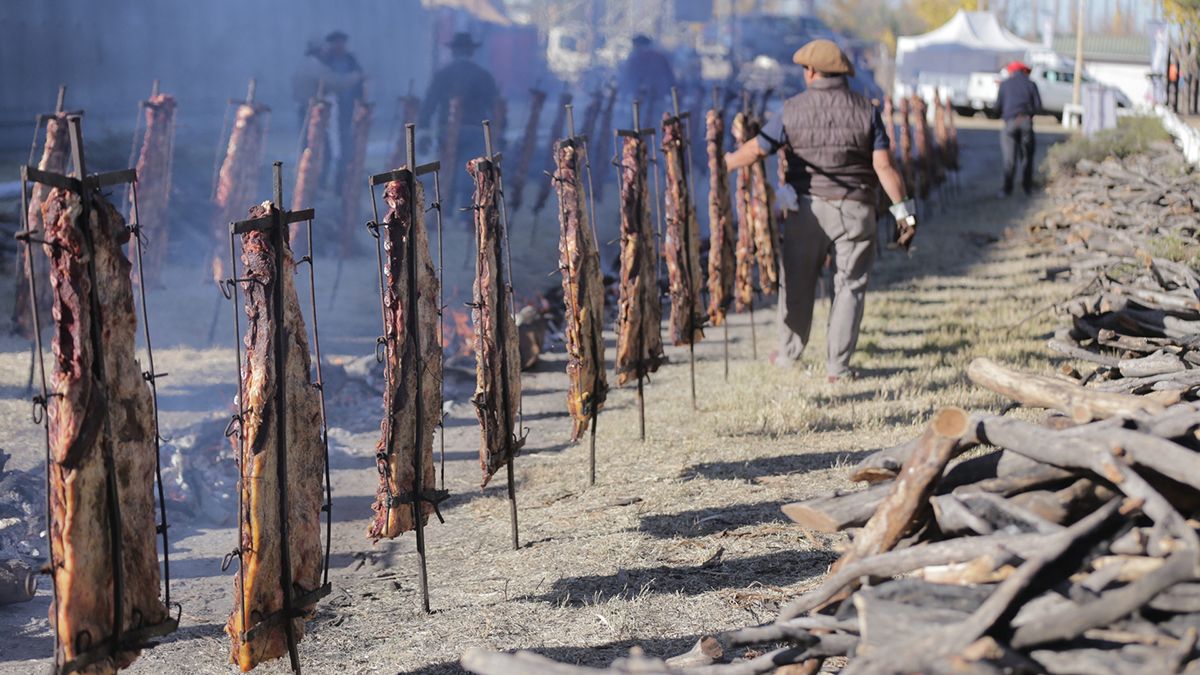 En la Fiesta de la ganadería de Zonas Áridas, Alvear volvió a tener mucha atención y repercusión en cuanto a lo político, y también por la visita de turistas, que desbordaron las plazas hoteleras de la ciudad sureña.