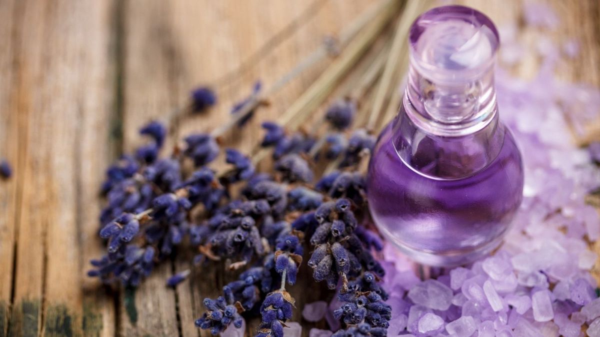 La lavanda es un ingrediente ideal para preparar un aromatizante casero. Imagen: Freepik La lavanda es un ingrediente ideal para preparar un aromatizante casero. Imagen: Freepik