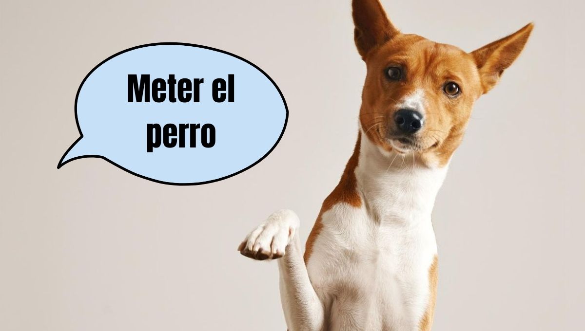 La frase de meter el perro tiene muchos años de historia