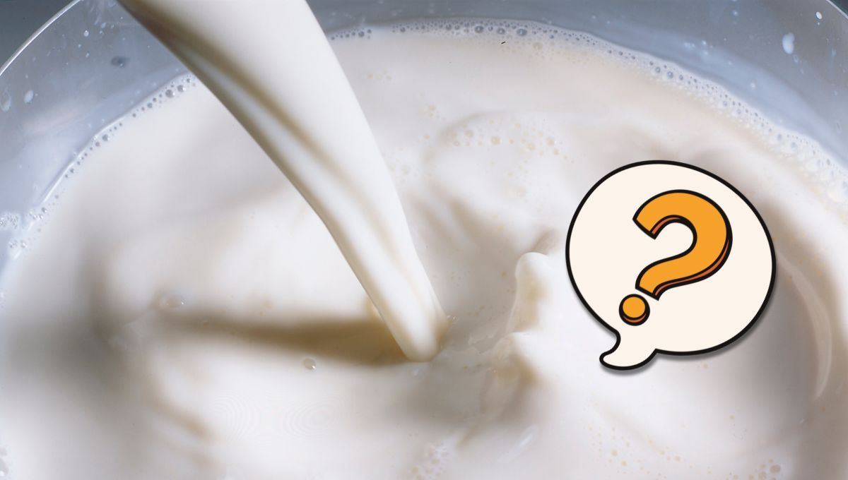 ¿Cuáles son diferencias entre leche descremada y deslactosada y cuál es mejor para la salud?