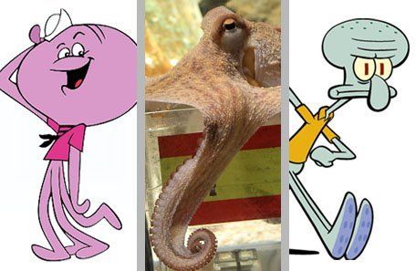 ¿Paul, Calamardo o Manotas?