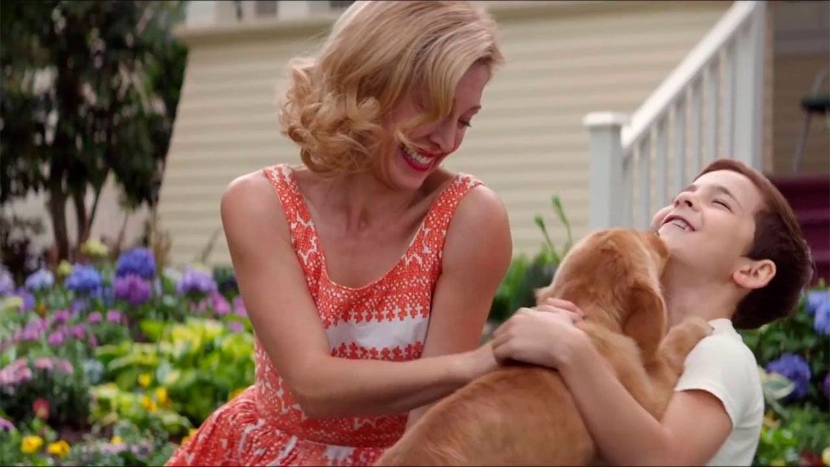 Esta conmovedora historia enseña que el amor nunca muere y nuestros verdaderos amigos estarán siempre a nuestro lado.