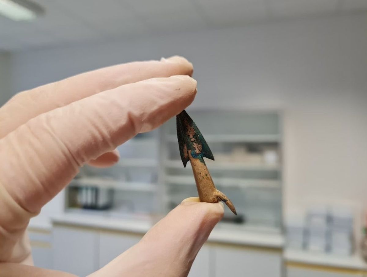 El descubrimiento se realizó tras un nuevo análisis de material arqueológico. El descubrimiento se realizó tras un nuevo análisis de material arqueológico.