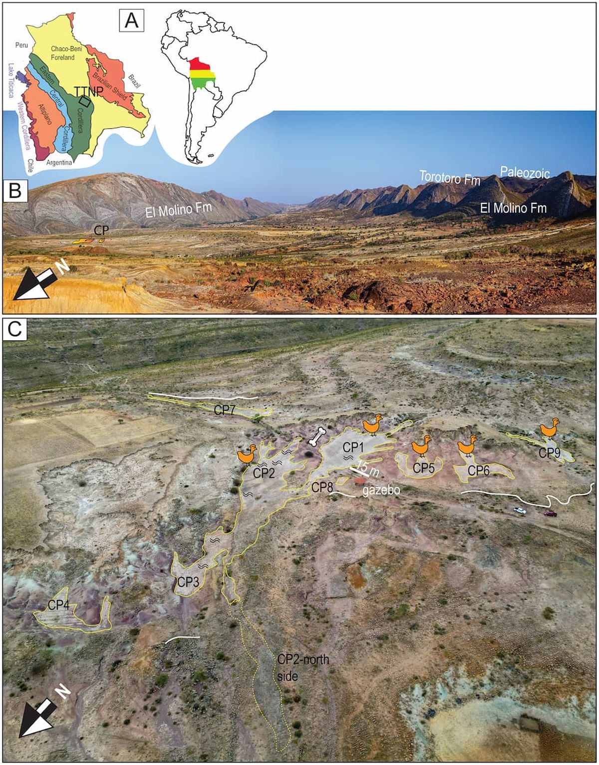 El estudio marca d&oacute;nde se realiz&oacute; el descubrimiento.