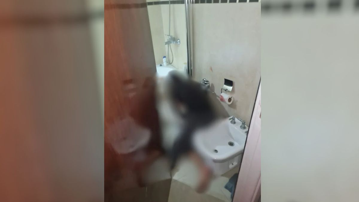 Laura Leguizamón, autora de la masacre, fue encontrada muerta en el baño. Laura Leguizamón, autora de la masacre, fue encontrada muerta en el baño.
