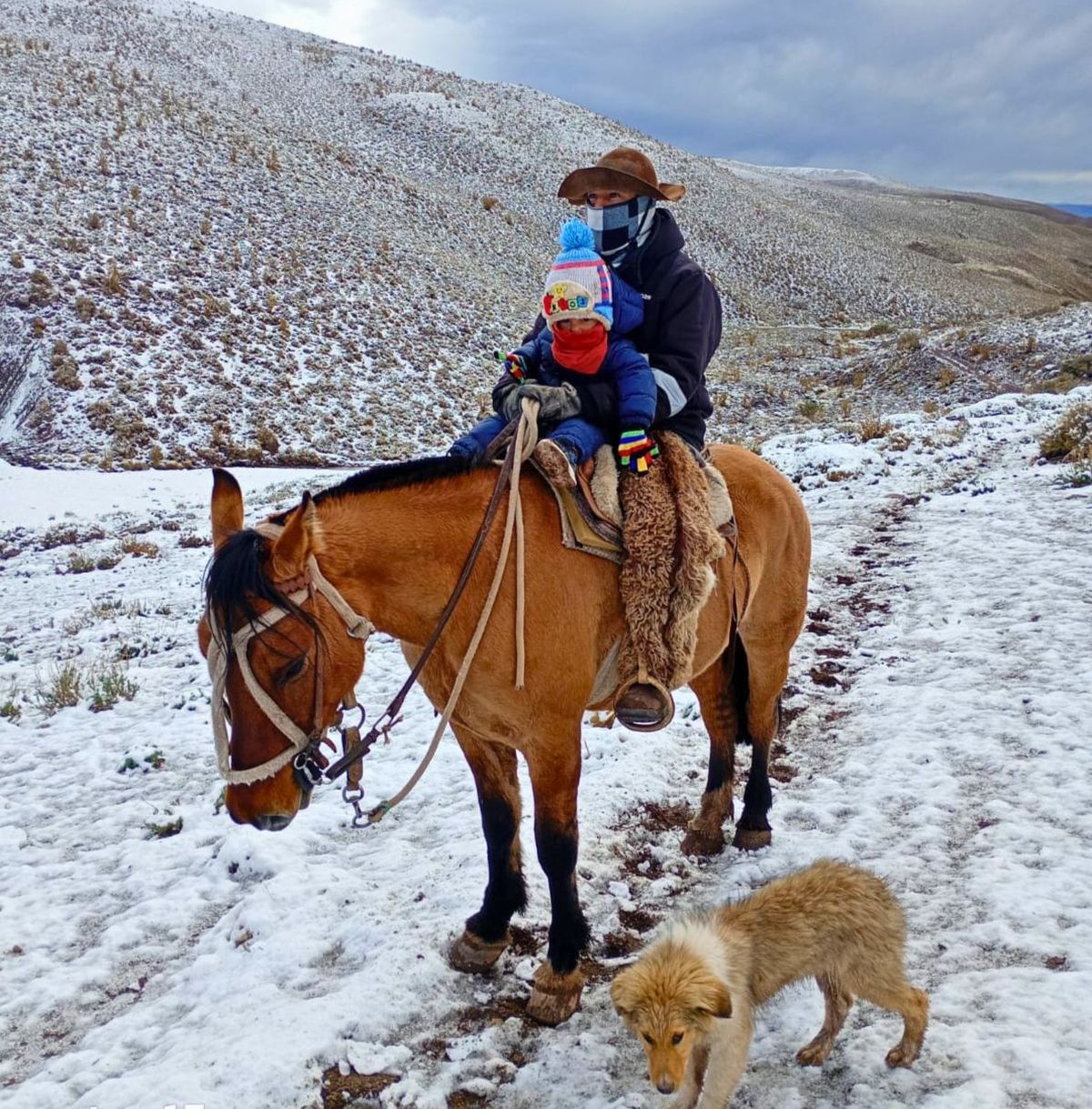 Patricio Olate aprendió el oficio de su padre y lo mismo sucederá con su hijo. En un puesto cordillerano cuida a alrededor de 270 chivos reproductores durante 9 meses. Patricio Olate aprendió el oficio de su padre y lo mismo sucederá con su hijo. En un puesto cordillerano cuida a alrededor de 270 chivos reproductores durante 9 meses.