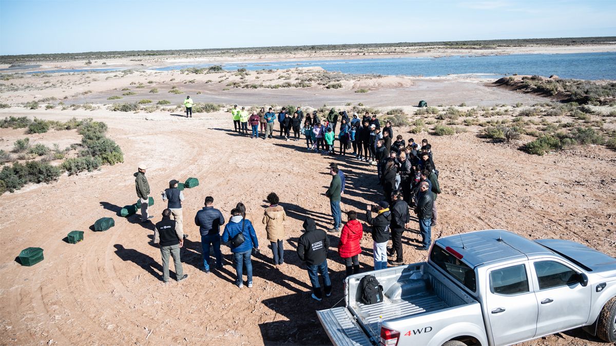 Liberaron aves silvestres en el Ramsar de Desaguadero Liberaron aves silvestres en el Ramsar de Desaguadero