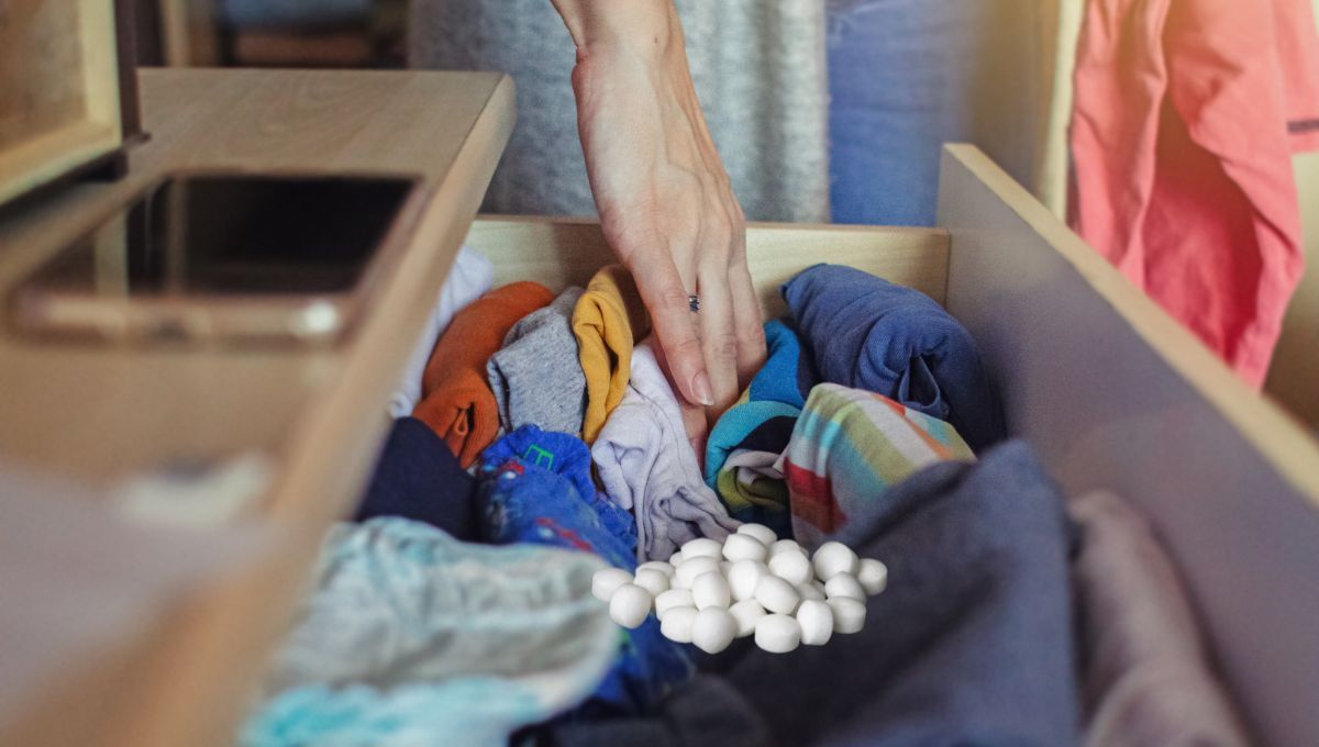 ¿Por qué conviene poner bolitas de naftalina en el cajón de la ropa y para qué sirve?