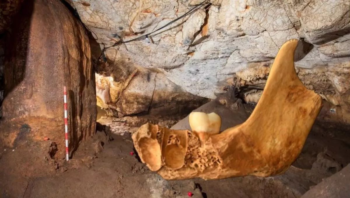 Espeluznante descubrimiento revela detalles sobre los casos de canibalismo hace 6500 años en España.