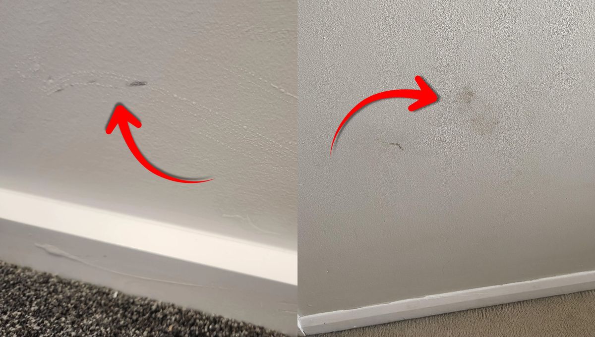 Cómo sacar las manchas de roces en las paredes rociando vinagre blanco