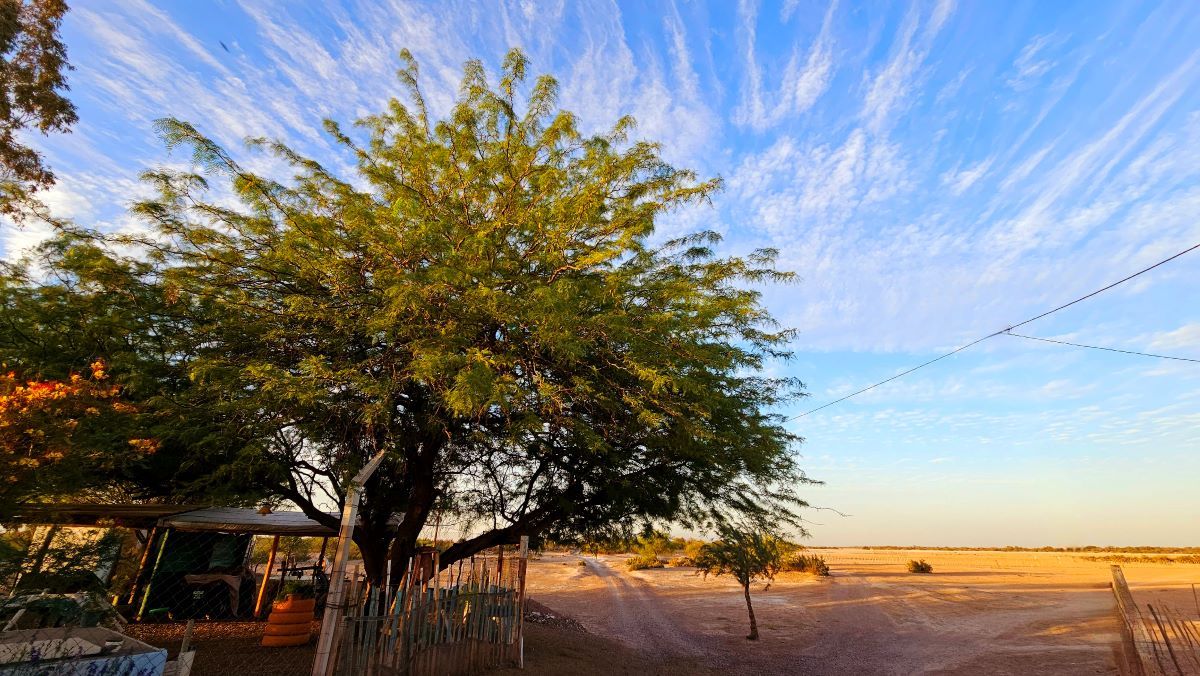 Casa de las Lagunas del Rosario, detrás el mar de arena que antes fueron las lagunas de Guanacache. Casa de las Lagunas del Rosario, detrás el mar de arena que antes fueron las lagunas de Guanacache.