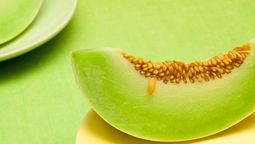 Si tenés semillas de melón en casa tenés un tesoro en tus manos: que hacer con ellas Si tenés semillas de melón en casa tenés un tesoro en tus manos: que hacer con ellas