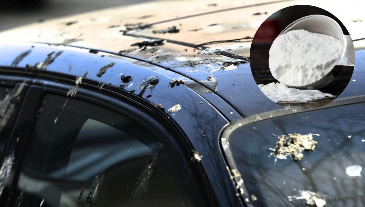 La caca de paloma puede ser eliminada a través del bicarbonato de sodio.  La caca de paloma puede ser eliminada a través del bicarbonato de sodio.