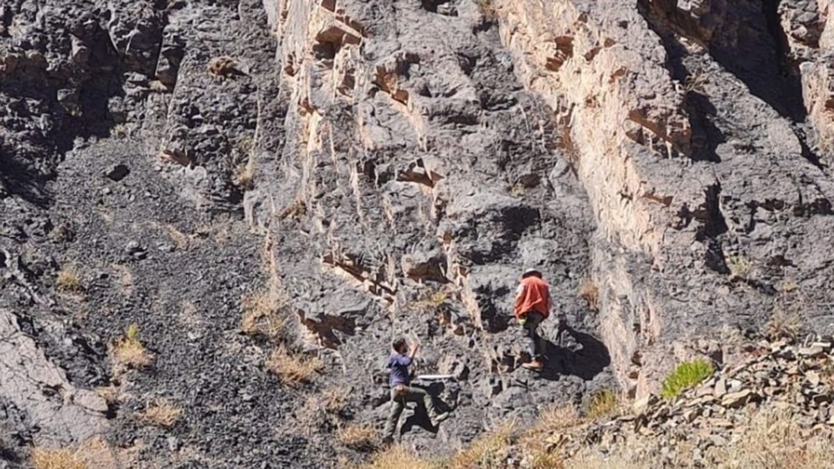 Las huellas de dinosaurios halladas por científicos en el norte de Chile datan de 150 millones de años