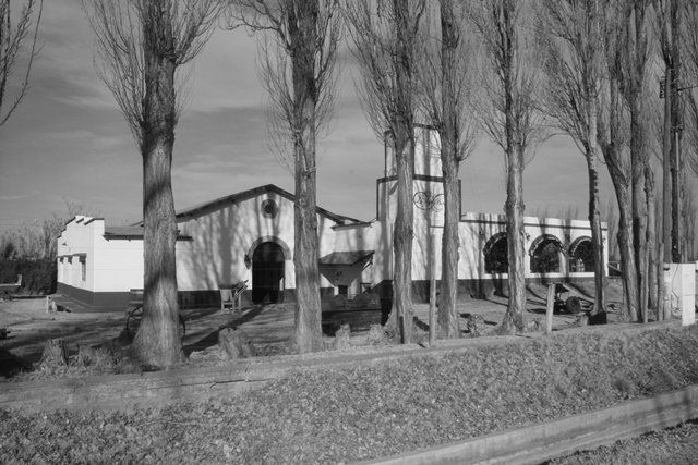 Historia de pioneros de una Vieja Bodega