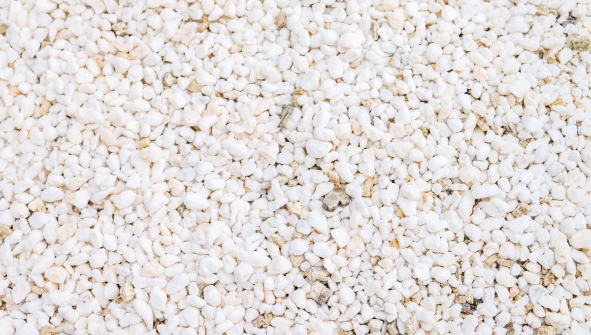 Las perlitas no dañan la tierra ni obstruyen el crecimiento de las raíces Las perlitas no dañan la tierra ni obstruyen el crecimiento de las raíces 