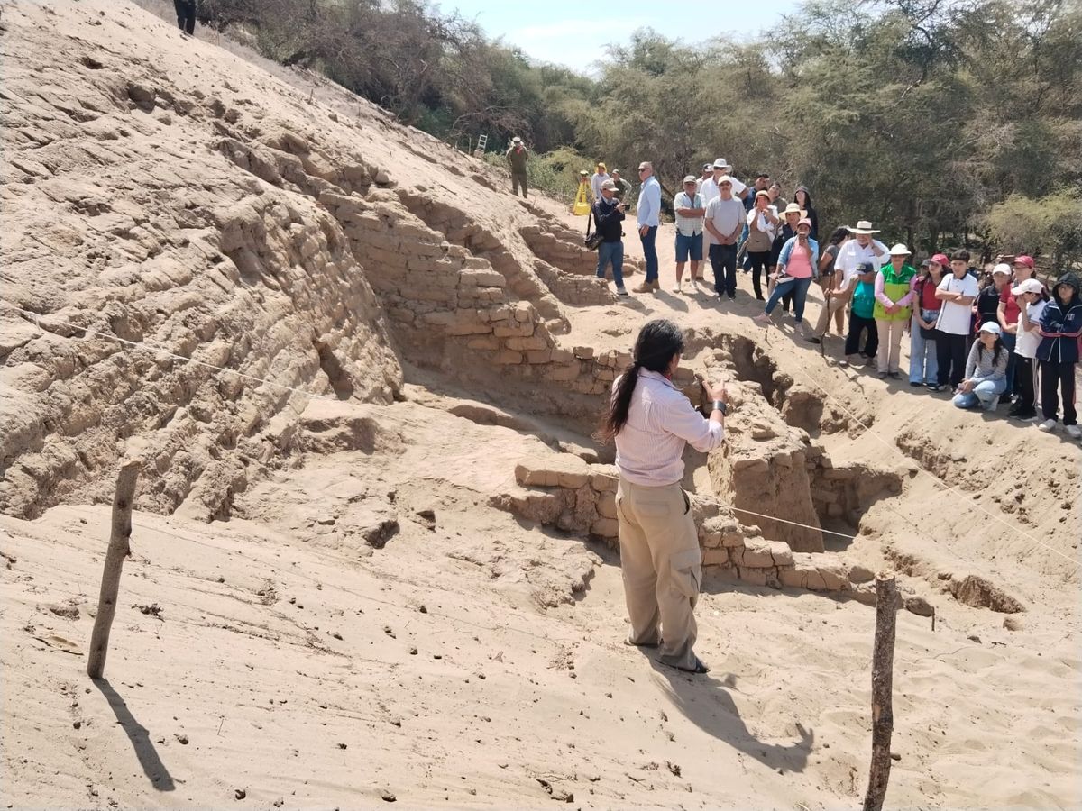 La zona en la que se realizó el descubrimiento es un importante parque arqueológico. La zona en la que se realizó el descubrimiento es un importante parque arqueológico.
