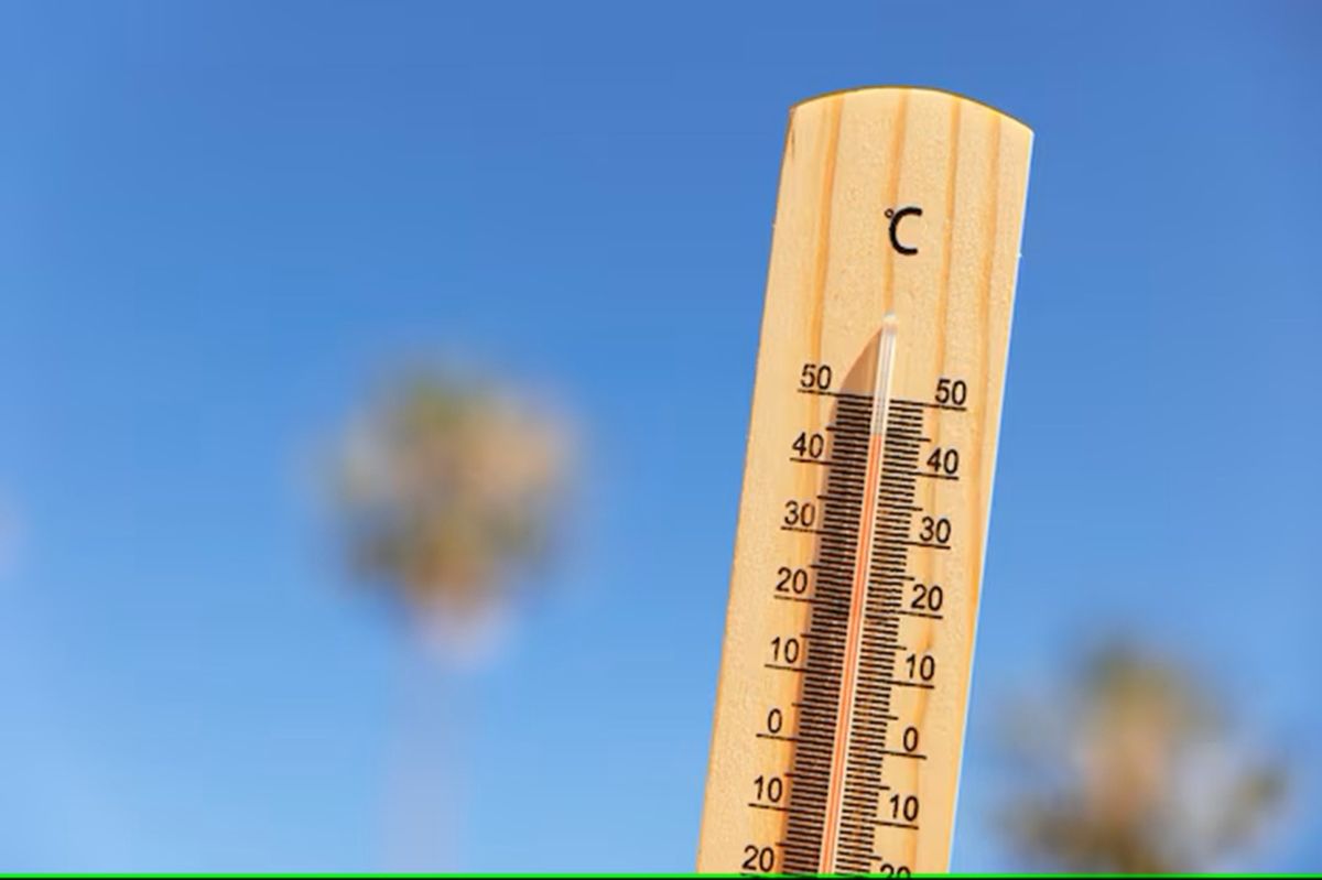 Volverán las temperaturas más cálidasFuente: Freepik
