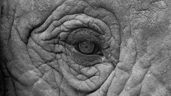 El Festival Nacional de la Fotografía Argentina llega al Máximo Arias
