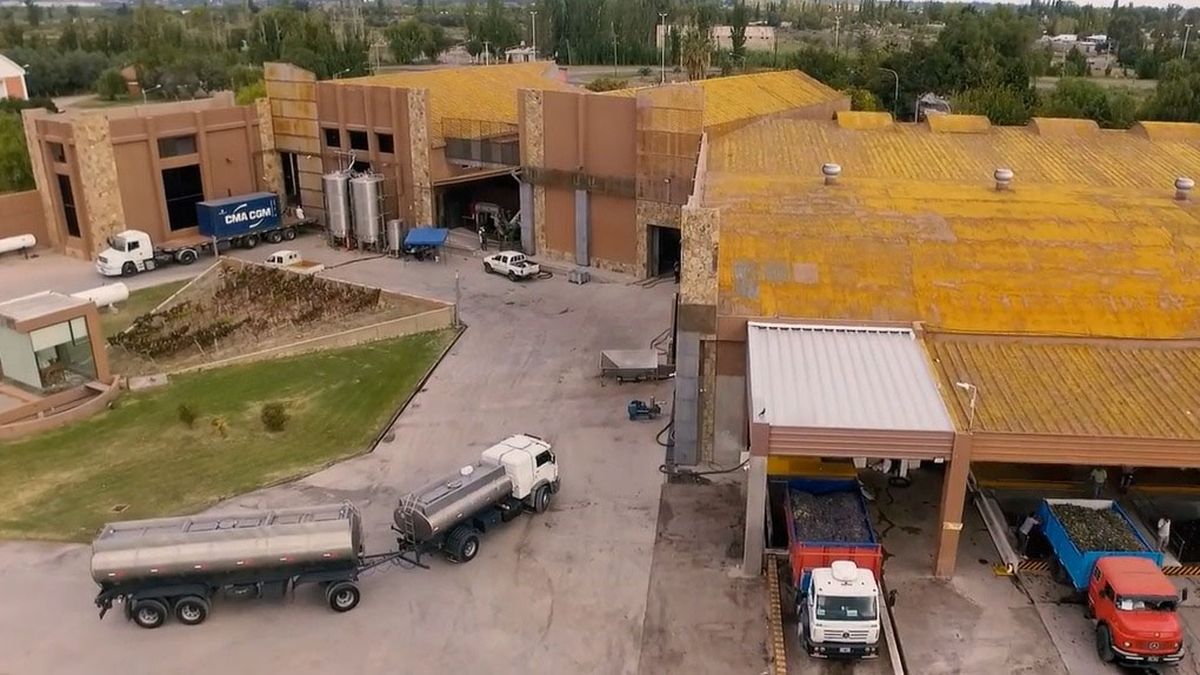 Jugos Australes, que se dedica a exportar mosto, había sido demandada por Iberte y apeló el fallo del Tribunal de la Bolsa de Comercios de Bs. As. Jugos Australes, que se dedica a exportar mosto, había sido demandada por Iberte y apeló el fallo del Tribunal de la Bolsa de Comercios de Bs. As.