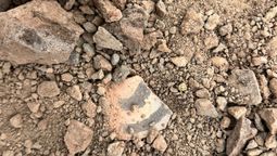 El descubrimiento que sorprendió en la vecina provincia de San Juan. Foto: Gendarmería Nacional.&nbsp; 