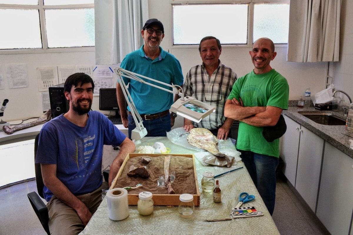 Parte del equipo de expertos que está al frente de la restauración de los fósiles del dinosaurio en el Cornelio Moyano. Parte del equipo de expertos que está al frente de la restauración de los fósiles del dinosaurio en el Cornelio Moyano.