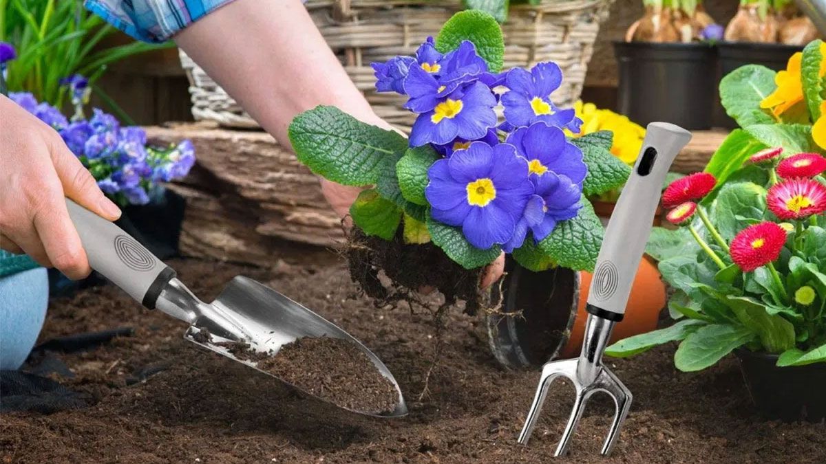Dejá tu jardín espléndido en primavera con estos tips