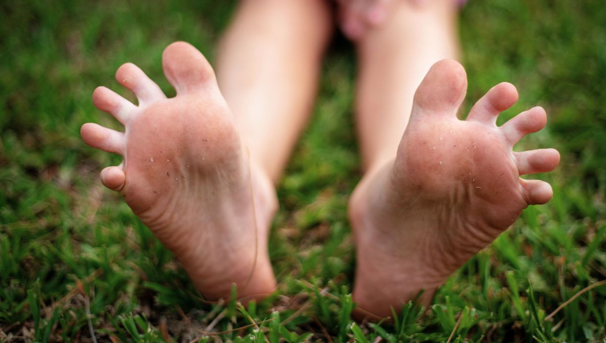 Existen varias formas anatómicas de dedos. Existen varias formas anatómicas de dedos. 