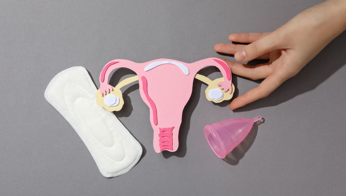 Los ovarios hacen mucho más que simplemente ovular. Los ovarios hacen mucho más que simplemente ovular.