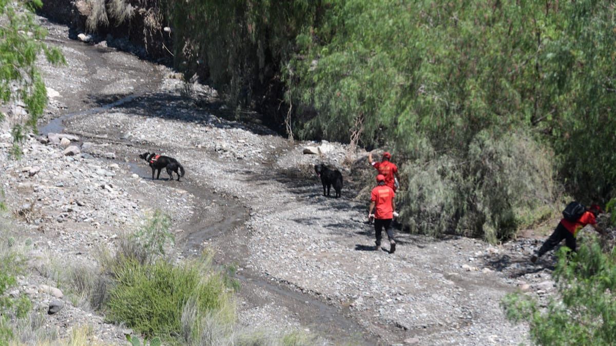 Así buscan a Luis Alberto Parra en el cauce de agua en El Challao