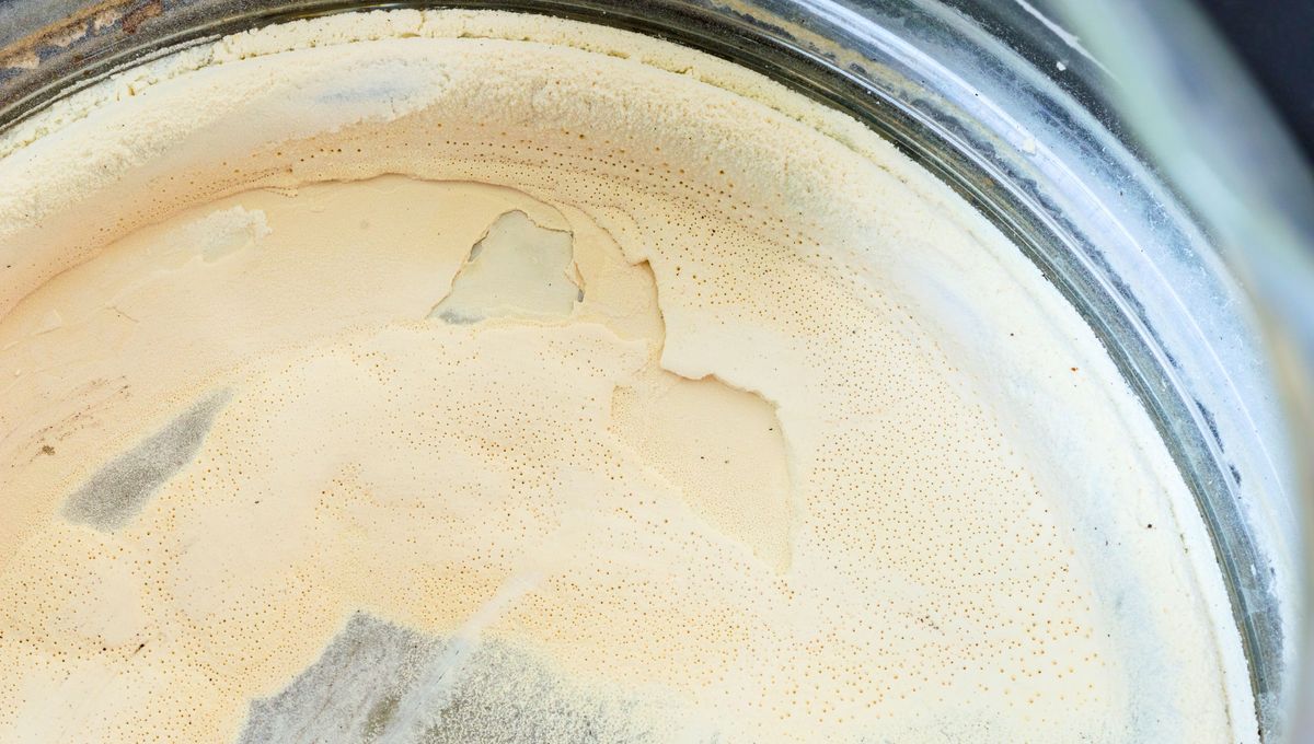 La versatilidad de este producto lo hace indispensable en la despensa de suministros del hogar. La versatilidad de este producto lo hace indispensable en la despensa de suministros del hogar.