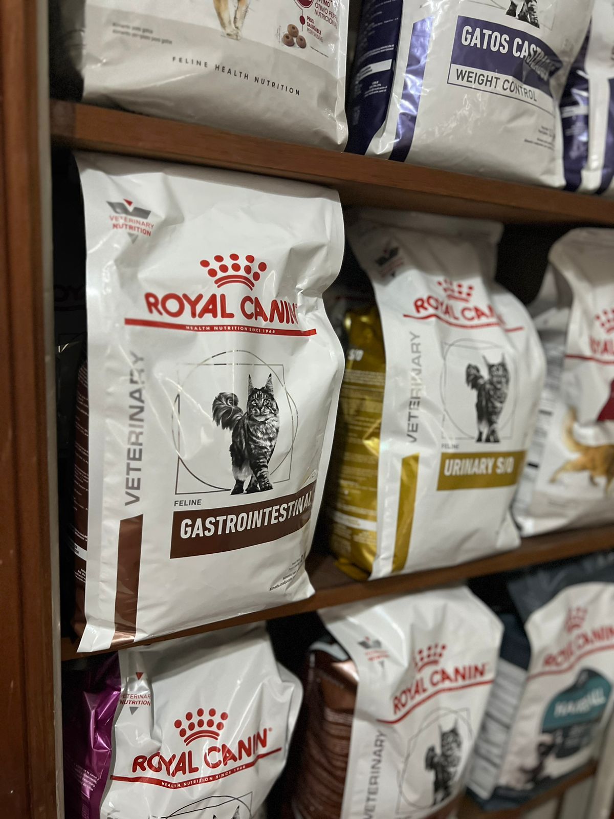 Alimentos sanos y balanceados. Alimentos sanos y balanceados.