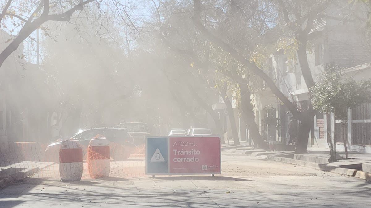 Gran parte de Mendoza se encuentra bajo una alerta amarilla por viento Zonda.