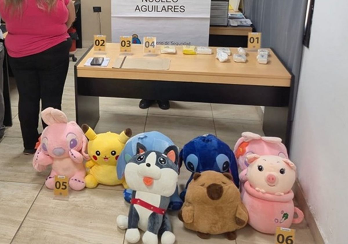 Peluche blanco. Una mujer quedó detenida por Gendarmería por llevar 3 kilos de cocaína en el interior de varios peluches. Peluche blanco. Una mujer quedó detenida por Gendarmería por llevar 3 kilos de cocaína en el interior de varios peluches.