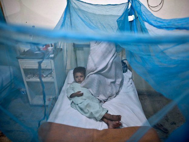 Una vacuna contra el dengue da algo de protección
