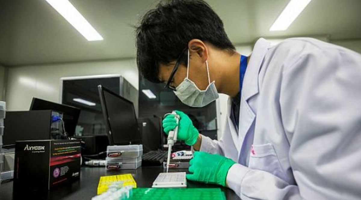 El descubrimiento es prometedor para el mundo de la medicina. El descubrimiento es prometedor para el mundo de la medicina.