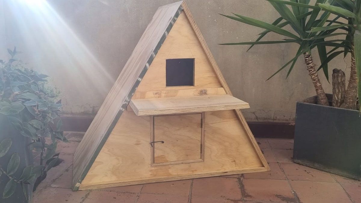 Esta es una de las cajas nidos que instalarán en la Capital para atraer lechuzas de campanario para que se alimente de ratas y así controlar la plaga. Esta es una de las cajas nidos que instalarán en la Capital para atraer lechuzas de campanario para que se alimente de ratas y así controlar la plaga.