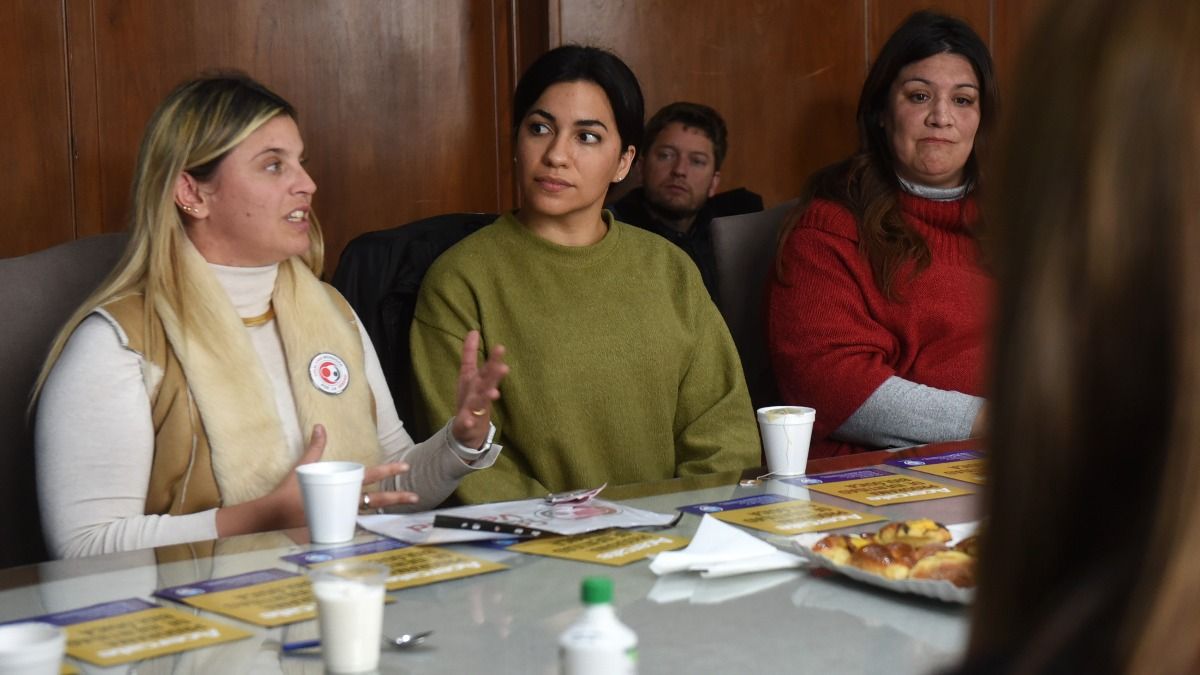 En Mendoza hay alrededor de 100 personas que buscan reconectar con hijos o madres tras sufrir una apropiación ilegal. En Mendoza hay alrededor de 100 personas que buscan reconectar con hijos o madres tras sufrir una apropiación ilegal.