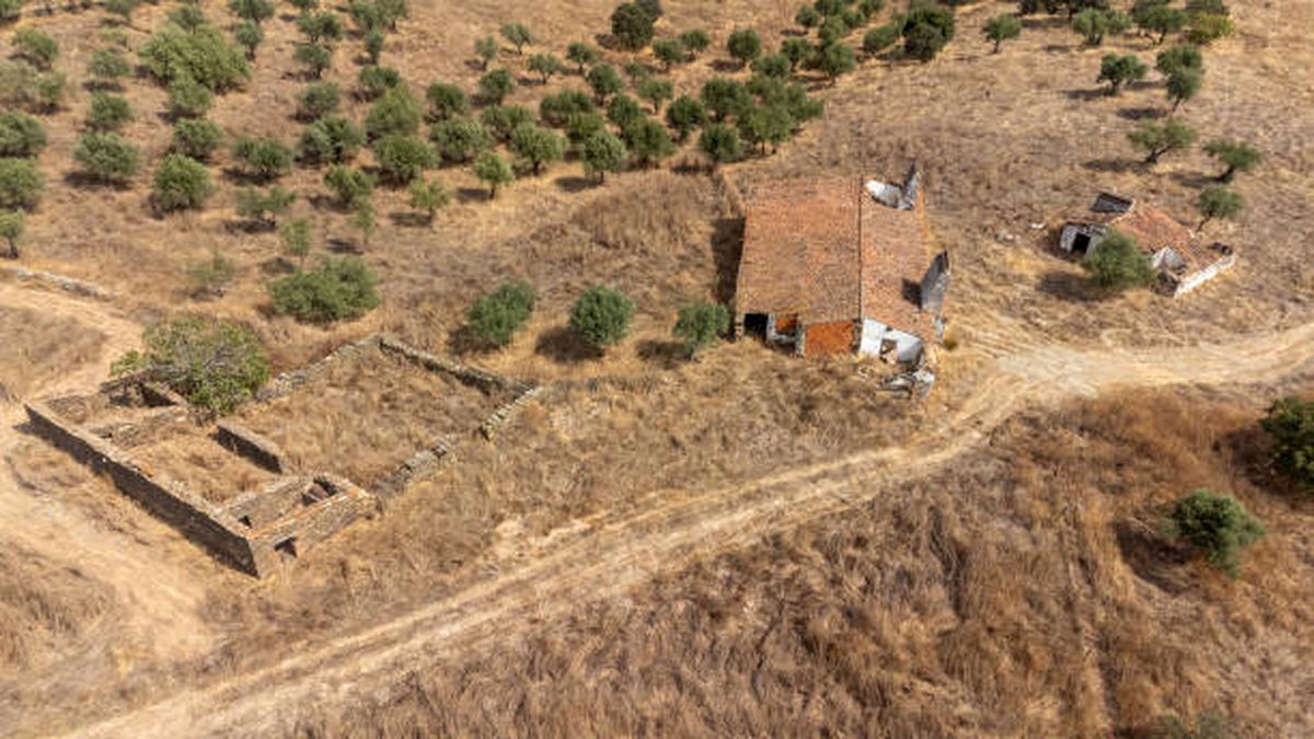 En cualquiera de estas ciudades de Estados Unidos puedes obtener un terreno gratis. En cualquiera de estas ciudades de Estados Unidos puedes obtener un terreno gratis.