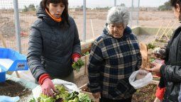 La huerta comunitaria que da de comer a 48 personas