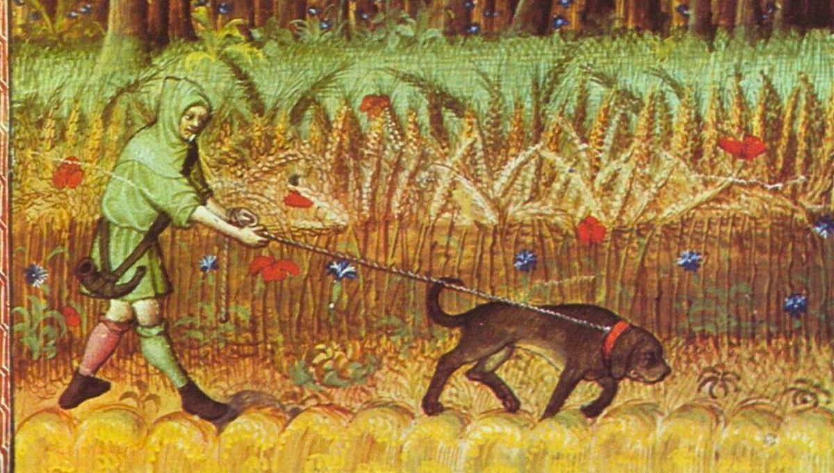 Imagen ilustrativa sobre como se fue formando la perspectiva del perro desde la Edad Media hasta la actualidad Imagen ilustrativa sobre como se fue formando la perspectiva del perro desde la Edad Media hasta la actualidad