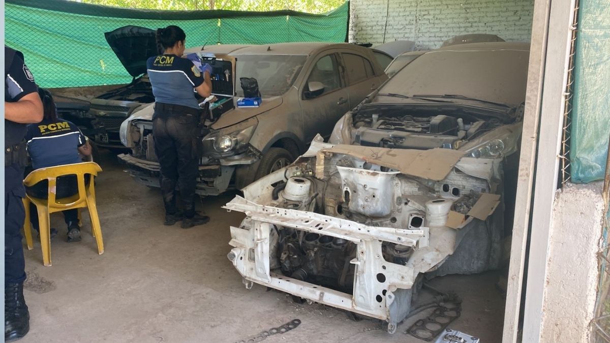 El Ministerio de Seguridad secuestró nuevo vehículos en un allanamiento en Luján de Cuyo.